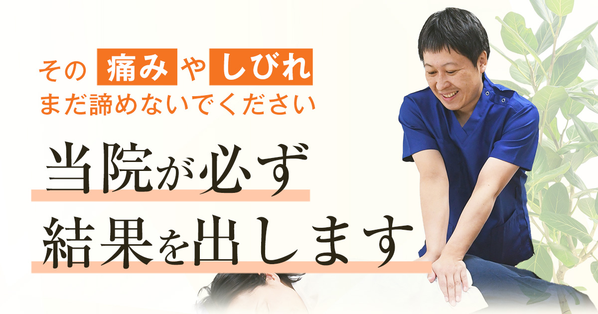 手技道 百年後の医学】 村松努 整体DVD 手技DVD 治療院